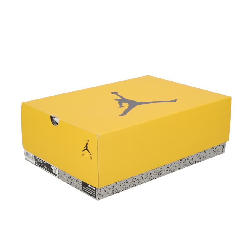 NIKE ナイキ/エアジョーダン6レトロ／スニーカー/CT8529-170//Aランク/18