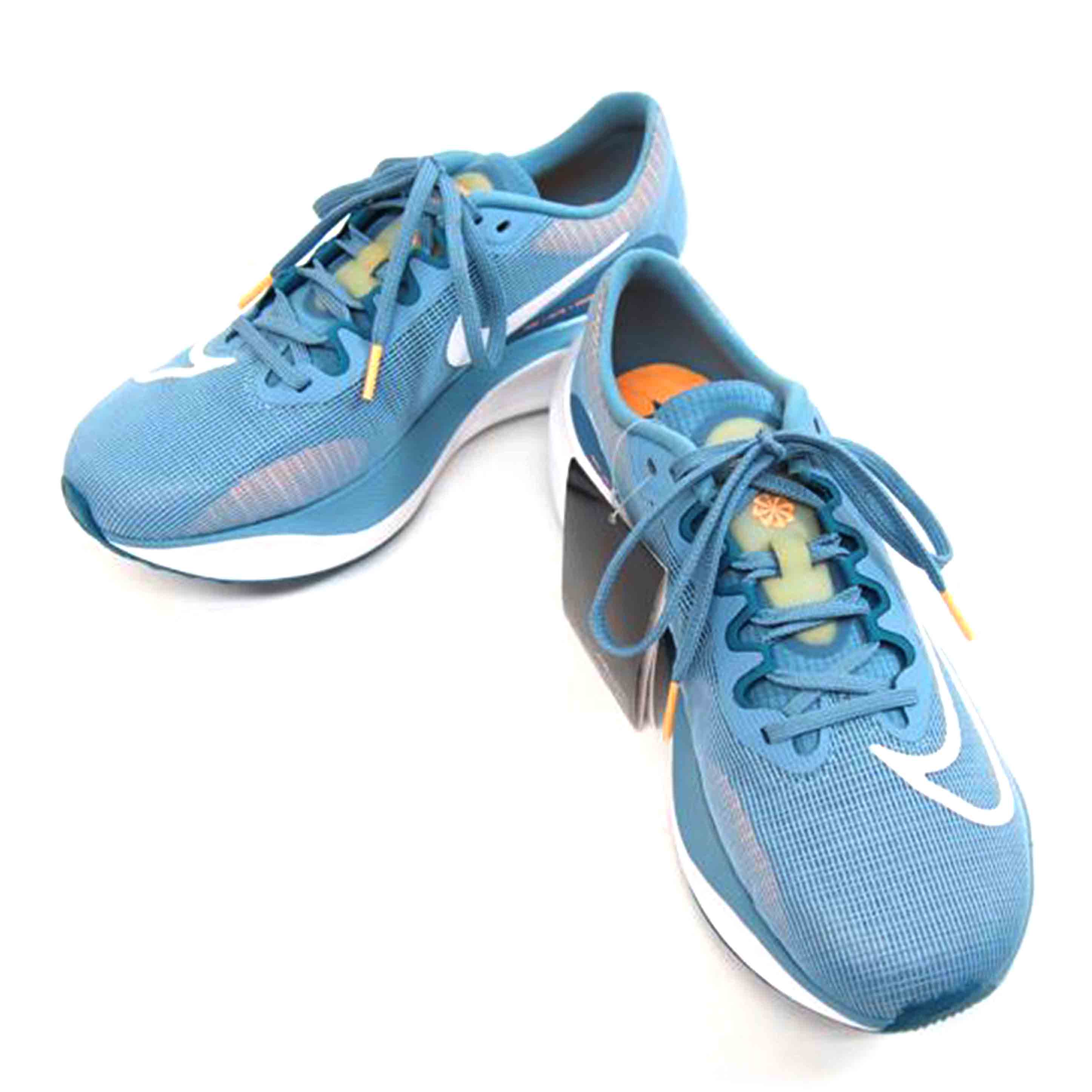 NIKE ナイキ/NIKE　ZOOM　FLY5/DM8968-400//Aランク/71
