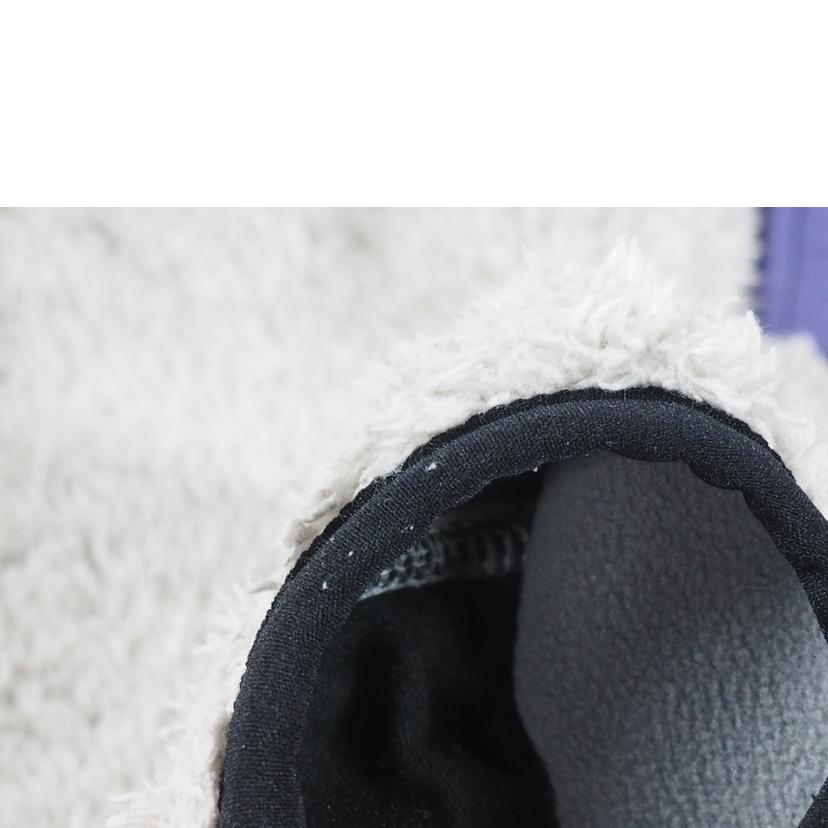 CHUMS チャムス/ボンティングフリースジップパーカー/CH04-1387//ABランク/79