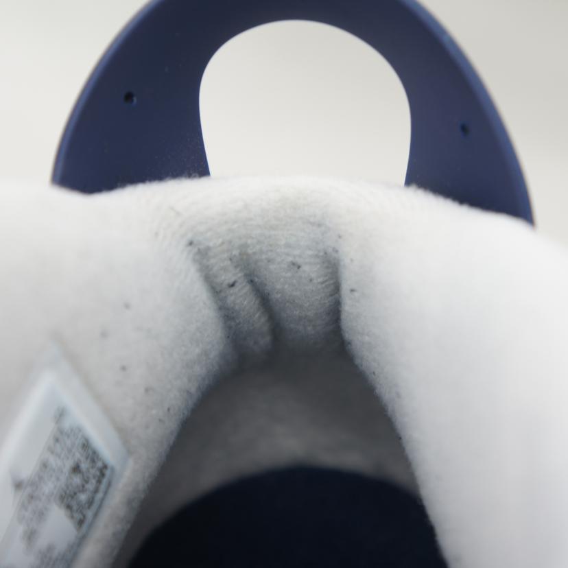 NIKE NIKE/AIR　JORDAN　6　RETRO/CT8529-141//28cm/ABランク/03