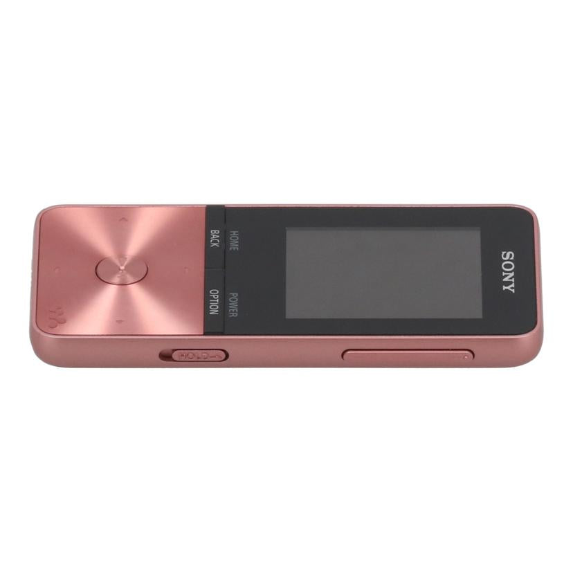 SONY ソニー/ウォークマン 4GB/NW-S313//S0130062399/Bランク/62