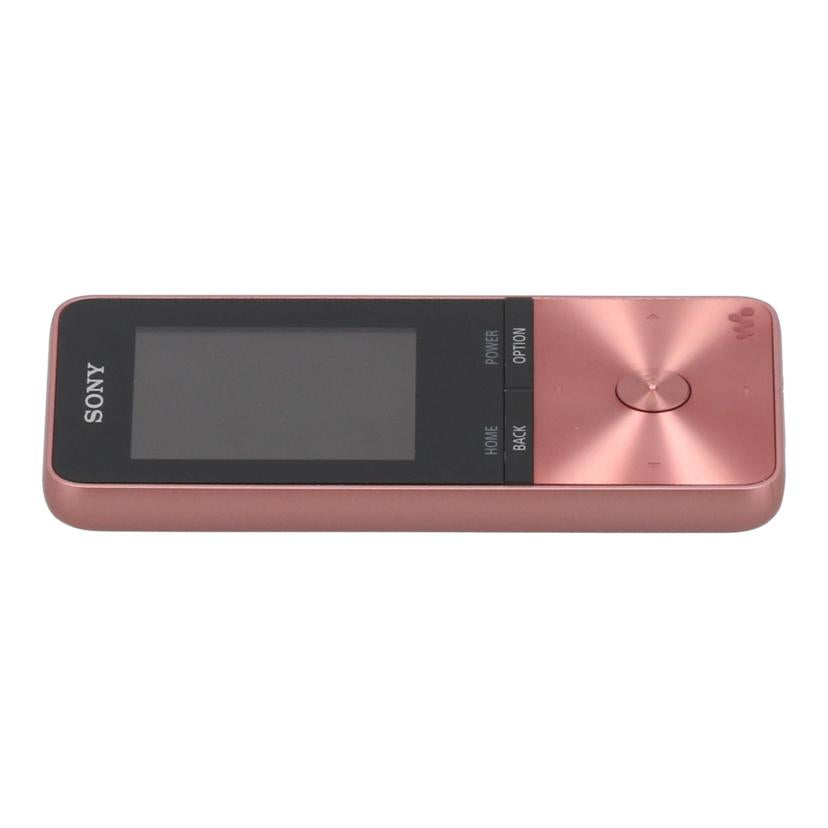 SONY ソニー/ウォークマン 4GB/NW-S313//S0130062399/Bランク/62