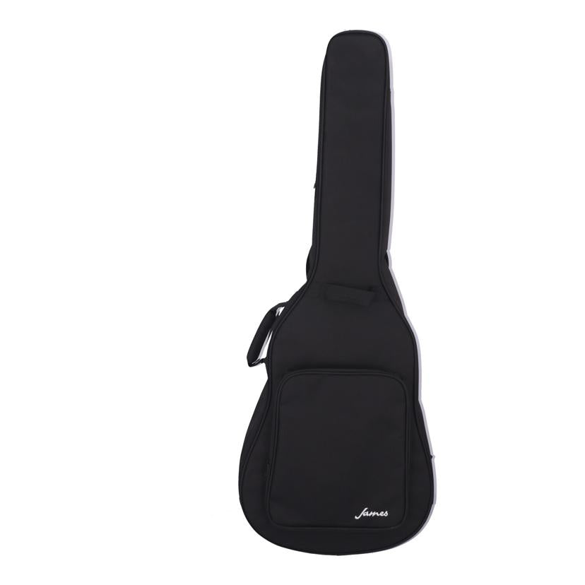 James ジェームス/アコースティックギター/J-300A2//JE24120532/Aランク/62