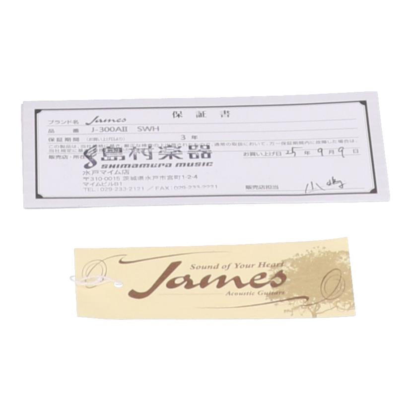 James ジェームス/アコースティックギター/J-300A2//JE24120532/Aランク/62