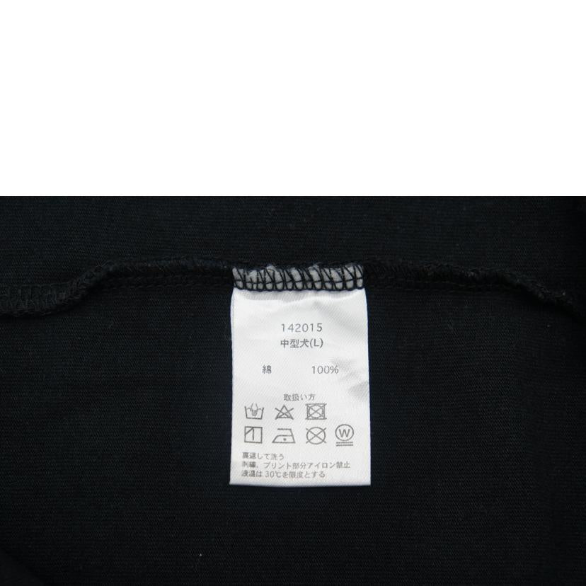 GALFY　 GALFY /チーマーTシャツ//Bランク/85