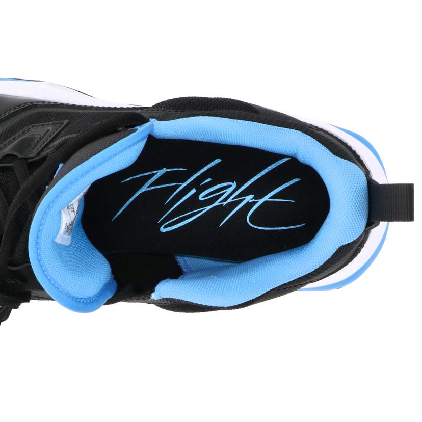 NIKE ナイキ/NIKE　ジョーダンステイロイヤル/FB1396-004//Aランク/19