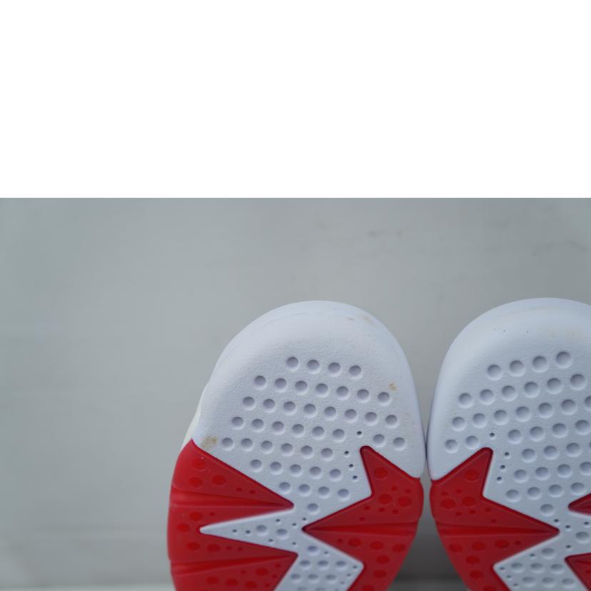 NIKE ナイキ/NIKE　AIR　JORDAN　6　GS　24．0/384665-062//Aランク/67
