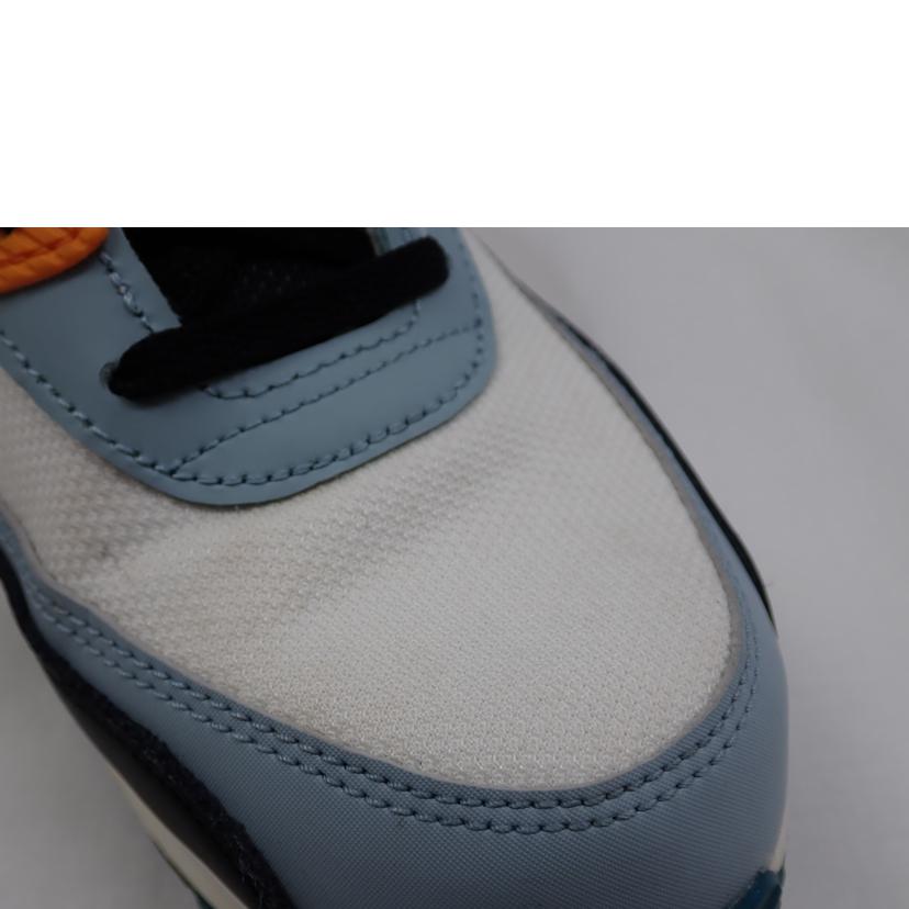 NIKE ﾅｲｷ/AIR　MAX　90　ESSENTIAL/AJ1285-110//27.0ｃｍ/Cランク/62
