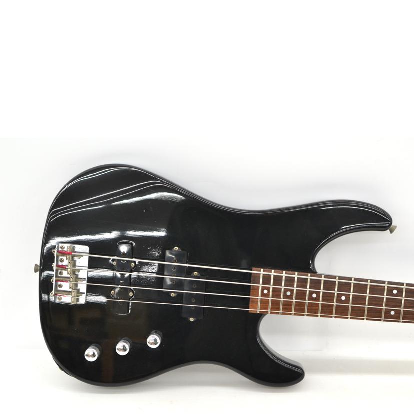 FERNANDES フェルナンデス/楽器｜WonderREX-ONLINE 公式通販サイト