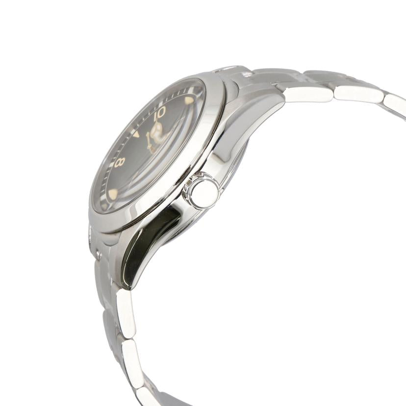 SEIKO セイコー/プロスペックス・アルピニスト／メンズ／自動巻/SBDC115//066***/SAランク/24