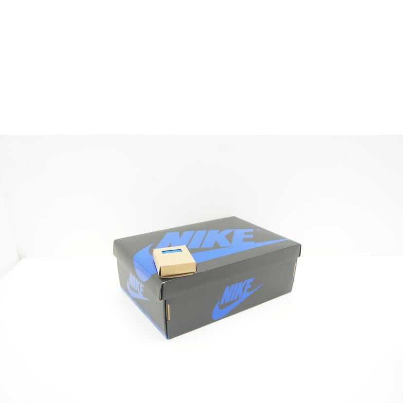 NIKE NIKE/AIR　JORDAN　1　RETRO　HIGH　OG/DZ5485-042//00196969191641/Aランク/85