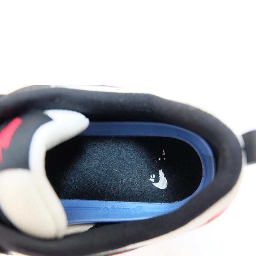 NIKE ナイキ/SB　アリウープ/CJ0882-102//BCランク/71