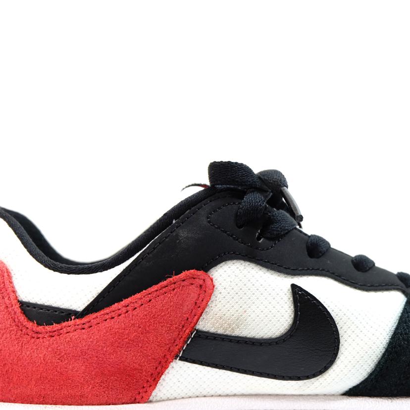 NIKE ナイキ/SB　アリウープ/CJ0882-102//BCランク/71