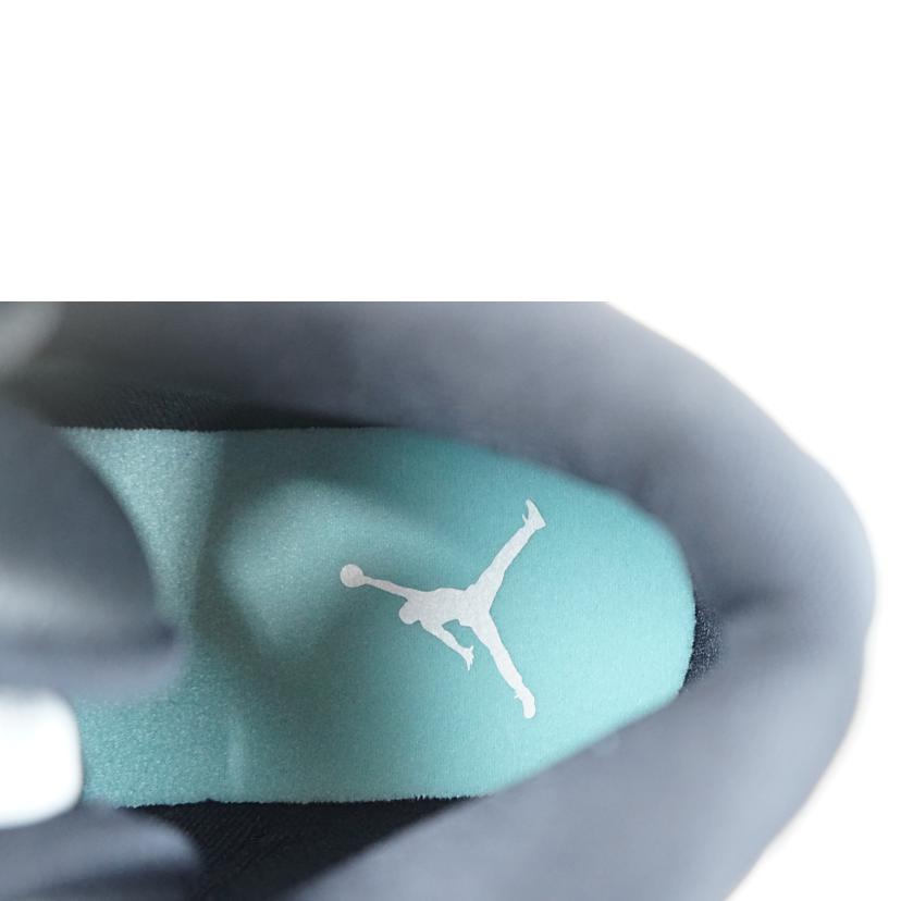 NIKE ナイキ/NIKE AIR JORDAN13 RETRO 26.5/414571-030//Aランク/67