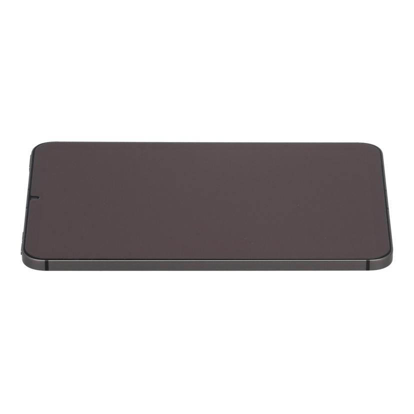 Apple　au アップル　/iPad　mini　第6世代　Cellular　256GB　2021/MK8F3J/A//VX0X5D2132/Bランク/71