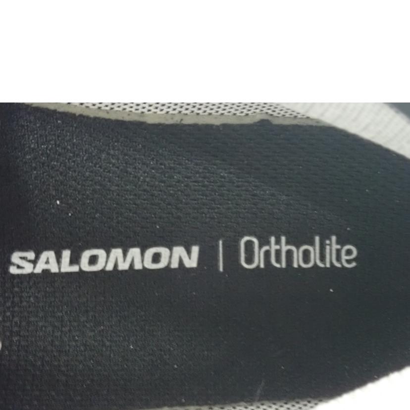 SALOMON ｻﾛﾓﾝ/X　WARD　LEATER　MID　GTX/471818 29//26.5cm/Sランク/62