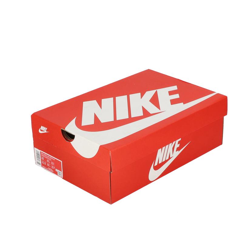 NIKE ナイキ/DUNK　LOW　RETRO　QS/DM0121-400//28.0cm/ABランク/41