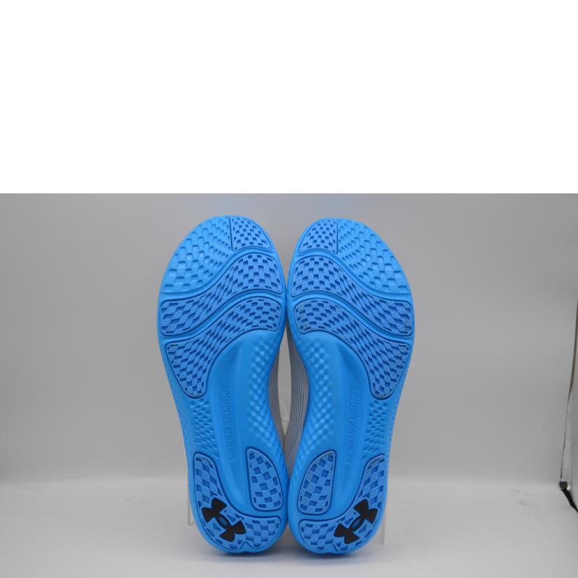 UNDER　ARRNOUR アンダーアーマー/チャージスピードスイフトシューズ／28．0cm/3026999-108//Sランク/89