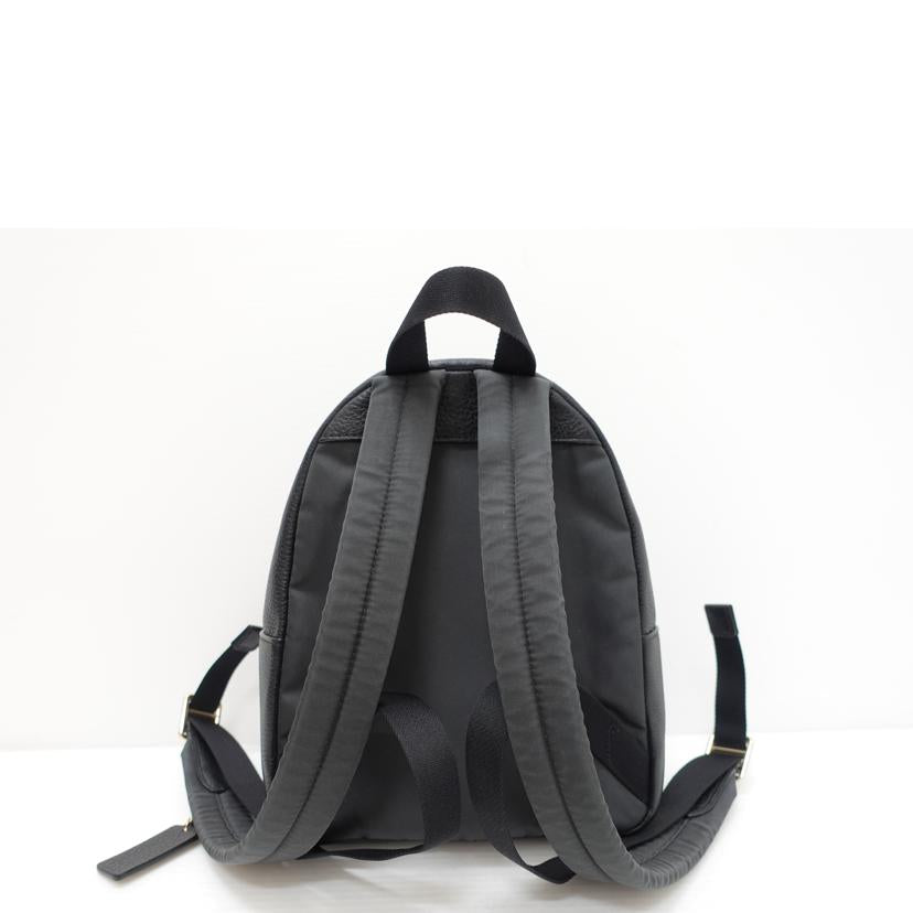 COACH コーチ/ペブルレザーミニチャーリーバックパック/F28995//F18**/Bランク/88