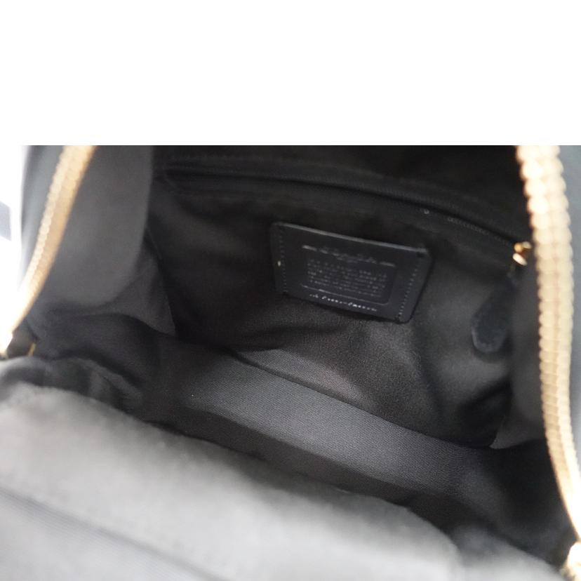 COACH コーチ/ペブルレザーミニチャーリーバックパック/F28995//F18**/Bランク/88