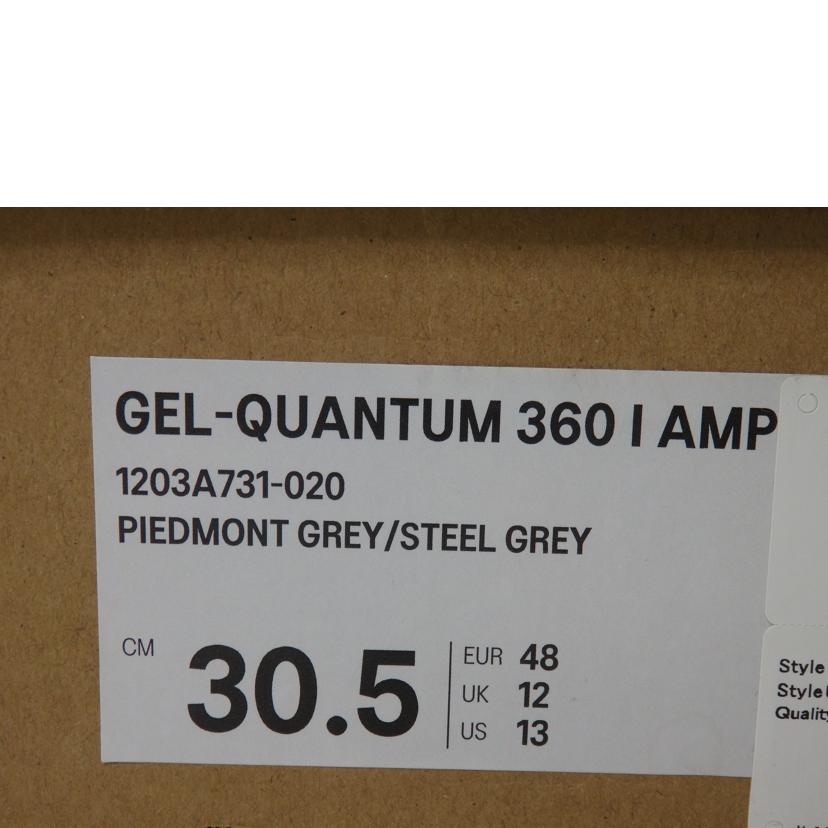 asics アシックス/GEL-QUANTUM360 I AMP/30.5cm//Aランク/84
