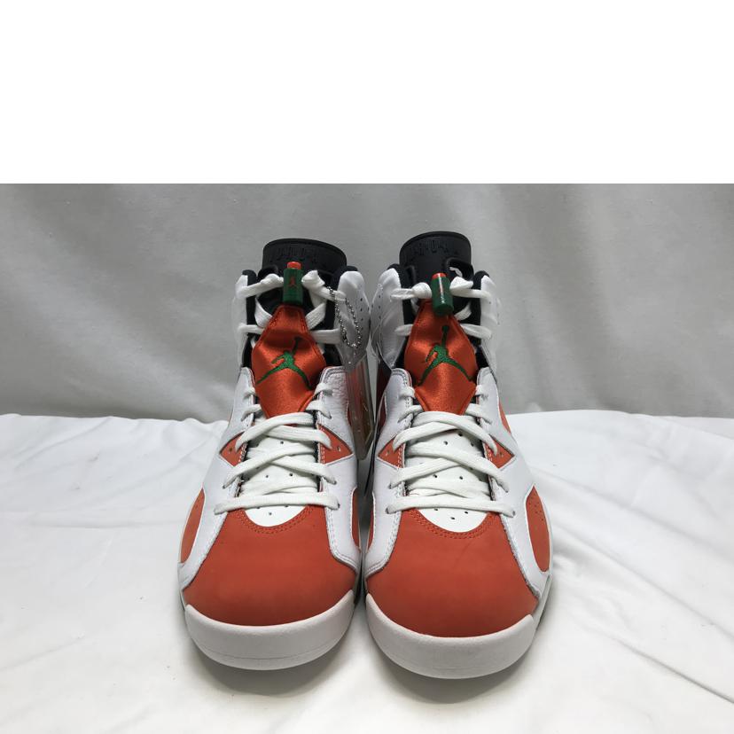 NIKE ナイキ/AIR　JORDAN　6　RETRO　GATORADE/384664-145//Sランク/51