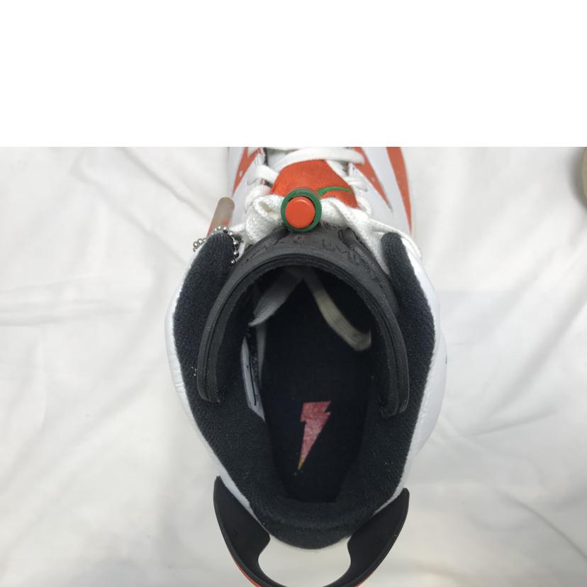 NIKE ナイキ/AIR　JORDAN　6　RETRO　GATORADE/384664-145//Sランク/51