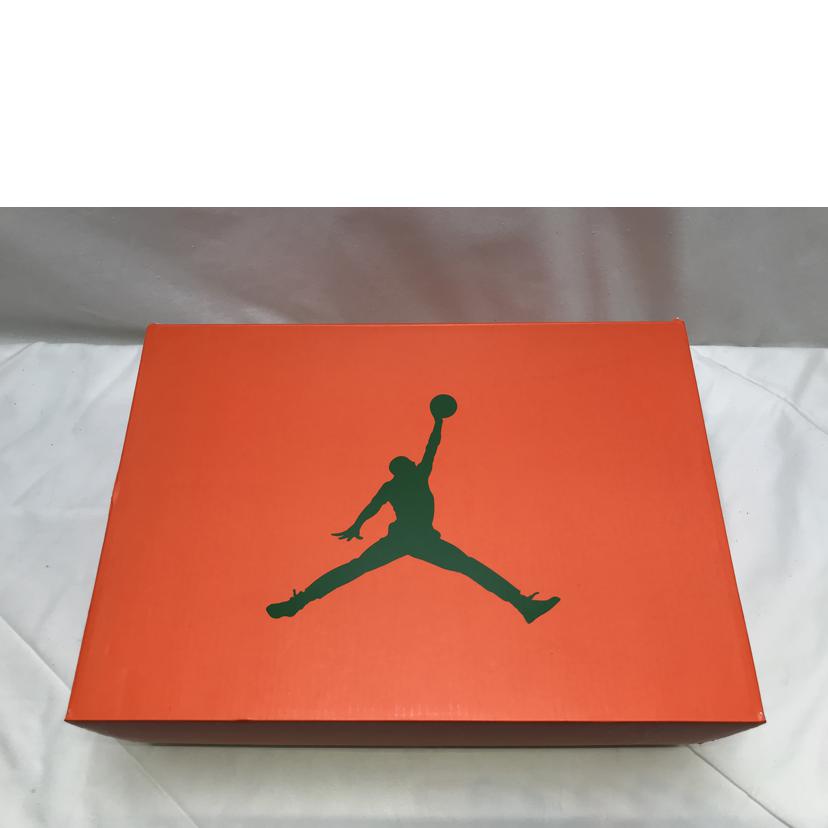 NIKE ナイキ/AIR　JORDAN　6　RETRO　GATORADE/384664-145//Sランク/51