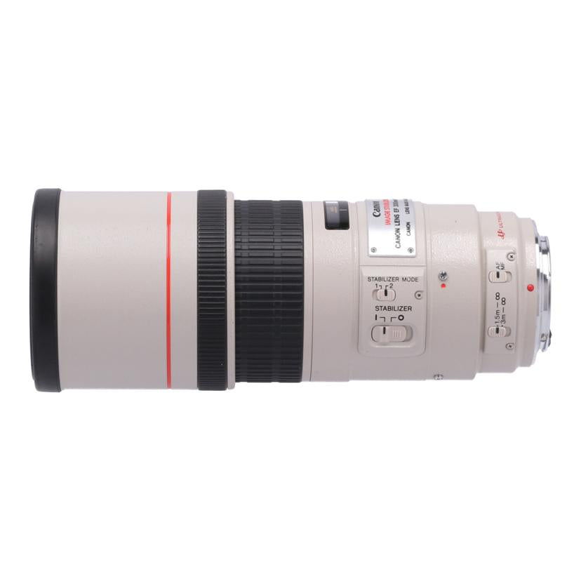 Canon キヤノン　/交換レンズ／300mmL/EF300mm F4L IS USM//112393/BCランク/81