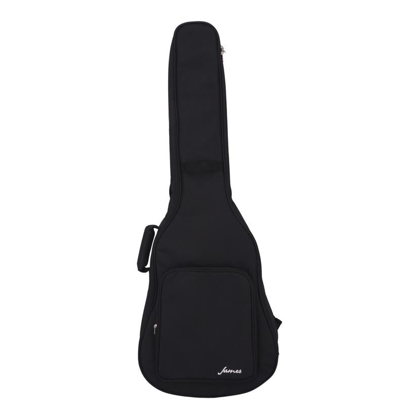 James ジェームス/アコースティックギター/J-100A MHT//JE25070229/Aランク/75