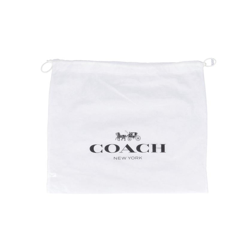 COACH　 コーチ/ジェイミーペブルドレザーカメラバッグ/CA207//B22**/Aランク/18