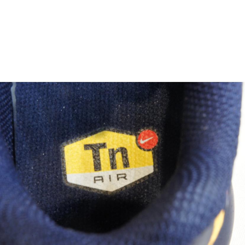 NIKE/AIR MAX PLUS エアマックスプラス/DM0032-701//SAランク/92