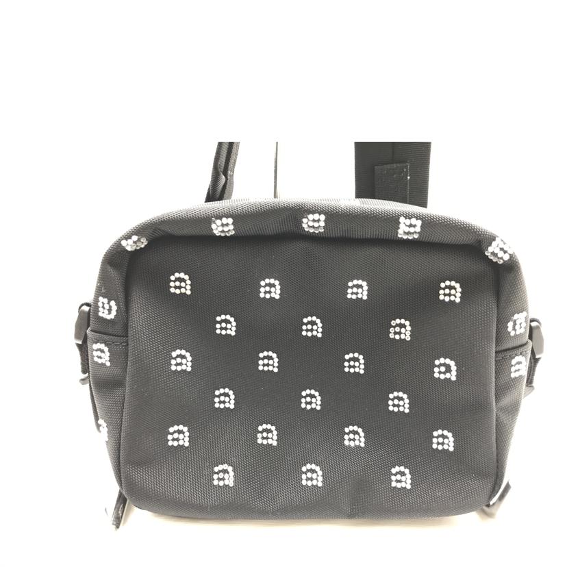 alexanderwang アレクサンダーワン/カメラ　ショルダーバック/20123X03M//Aランク/51