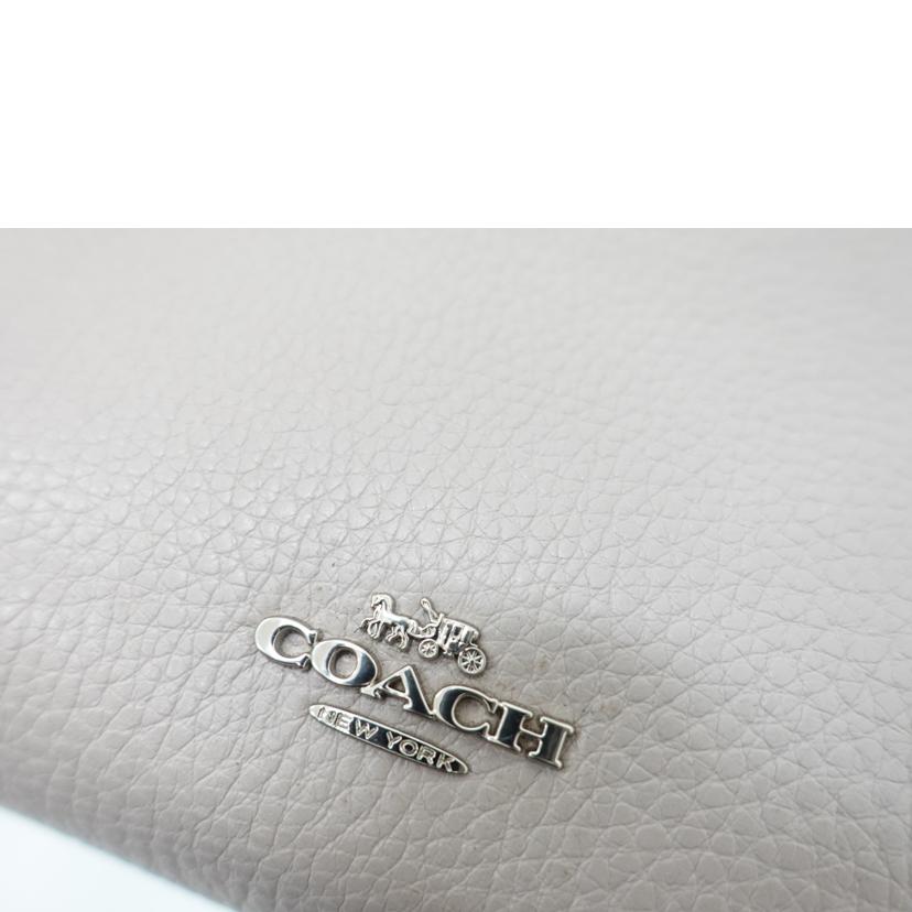 COACH コーチ/ゾーイキャリーオール2WAYハンドバッグ/88037//L19**/ABランク/88