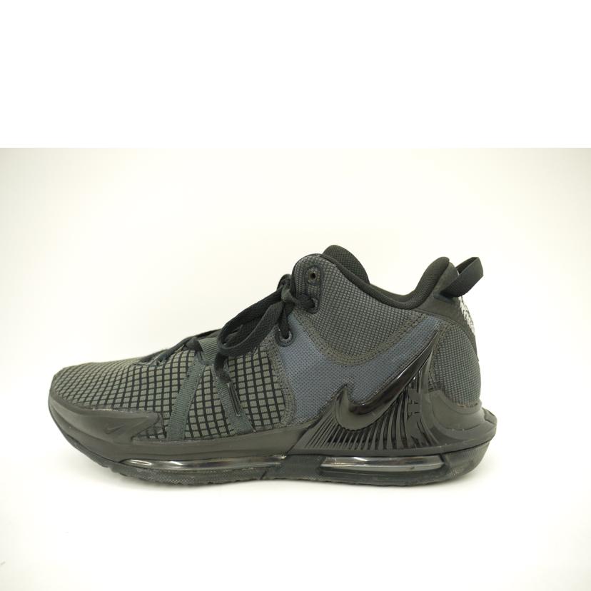 Nike ナイキ/レブロンウィットネスVII　EP/DM1122-004//Aランク/69
