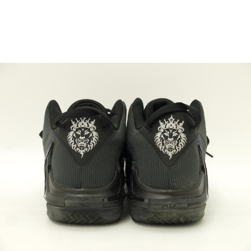 Nike ナイキ/レブロンウィットネスVII　EP/DM1122-004//Aランク/69