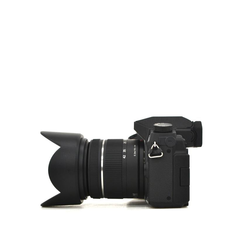 LUMIX/ミラーレス一眼/DMC-G7  G14-42㎜//WE5FA001095/ABランク/75