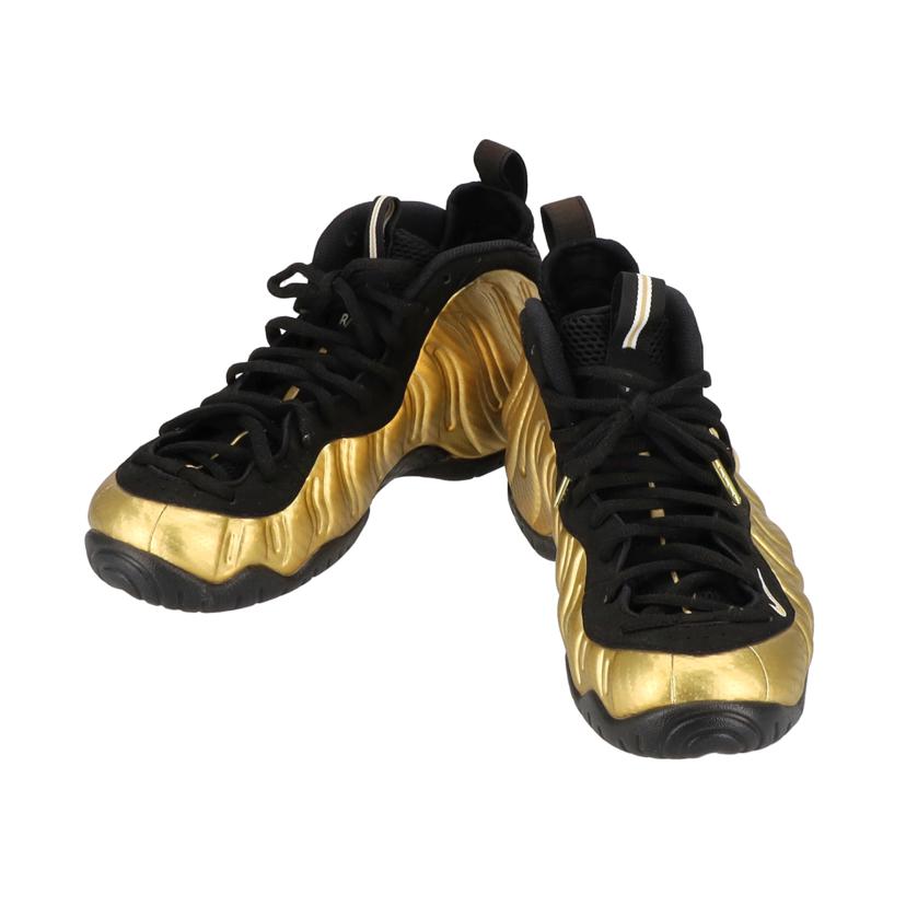 NIKE ナイキ/エアフォームポジット　プロ/624041-701//00659658576421/ABランク/85