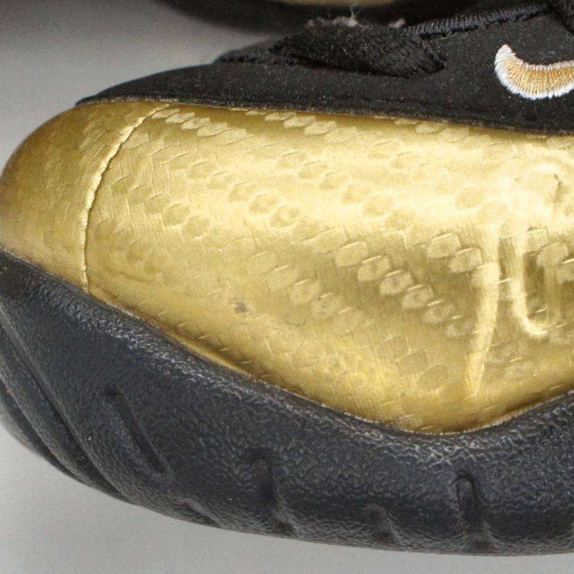 NIKE ナイキ/エアフォームポジット　プロ/624041-701//00659658576421/ABランク/85