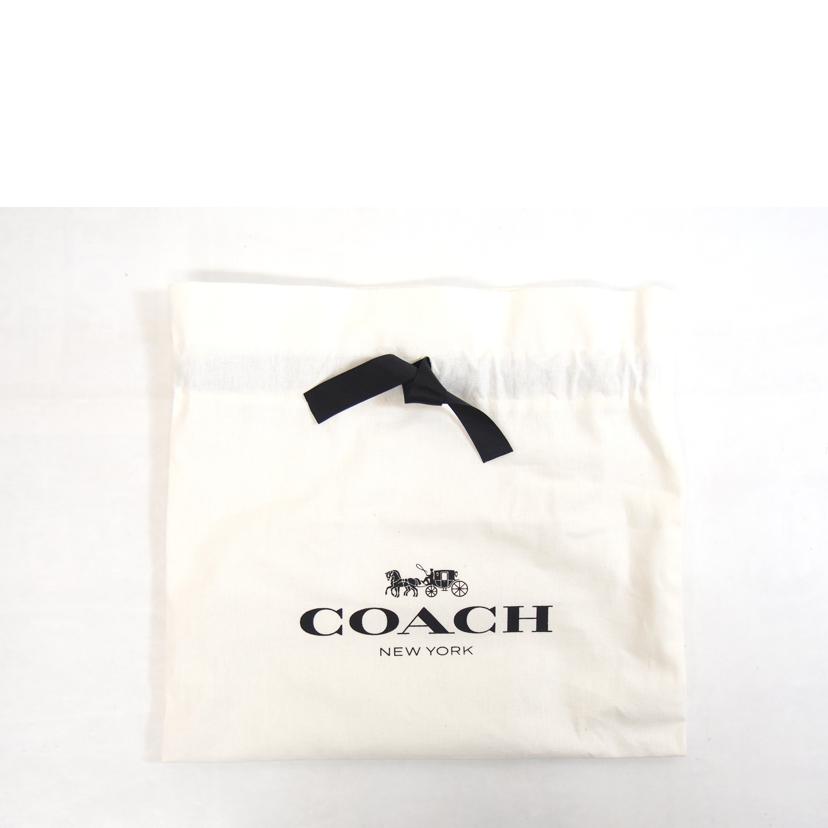 COACH コーチ/ミニジェイミーカメラスケッチ/CBL94//D25**/Aランク/71