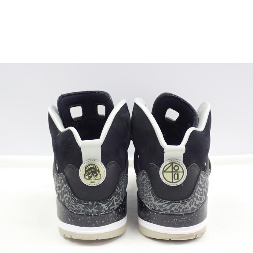 NIKE ﾅｲｷ/JORDAN　SPIZIKE　/315371-004//28.5cm/BCランク/62