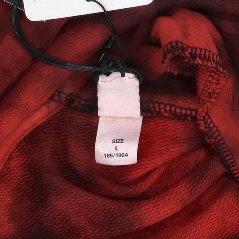 DIESEL DIESEL/スウェット　パーカー　グラフィックデザイン/00SSJH-0WAWC//Aランク/85