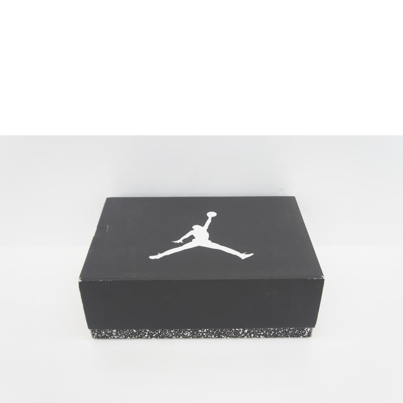 NIKE ナイキ/AIR　JORDAN　5　RETORO/CT4838//011/ABランク/42