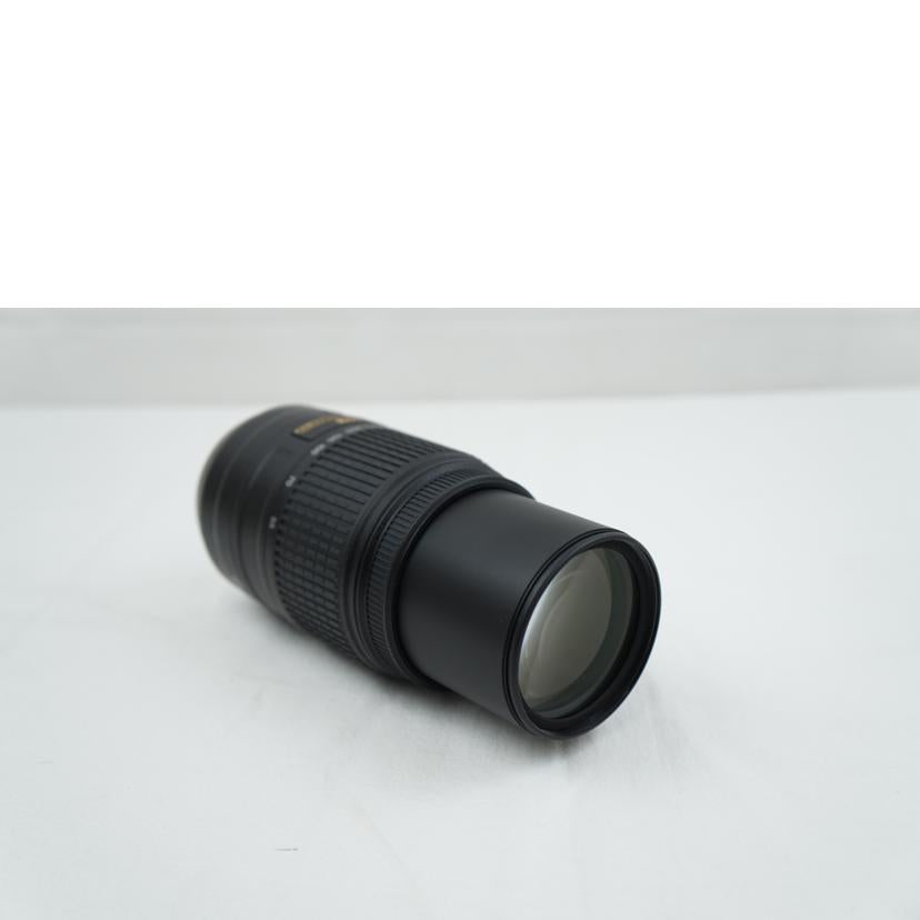 Ｎｉｋｏｎ ﾆｺﾝ/デジタル対応レンズ/AF-S 55-300mm F4.5-5.6G//2399560/ABランク/67