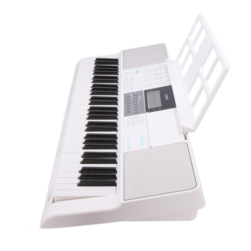 CASIO カシオ　/ポータブルキーボード／Casiotone/LK-516//873BDC19K062388ABB/Bランク/82