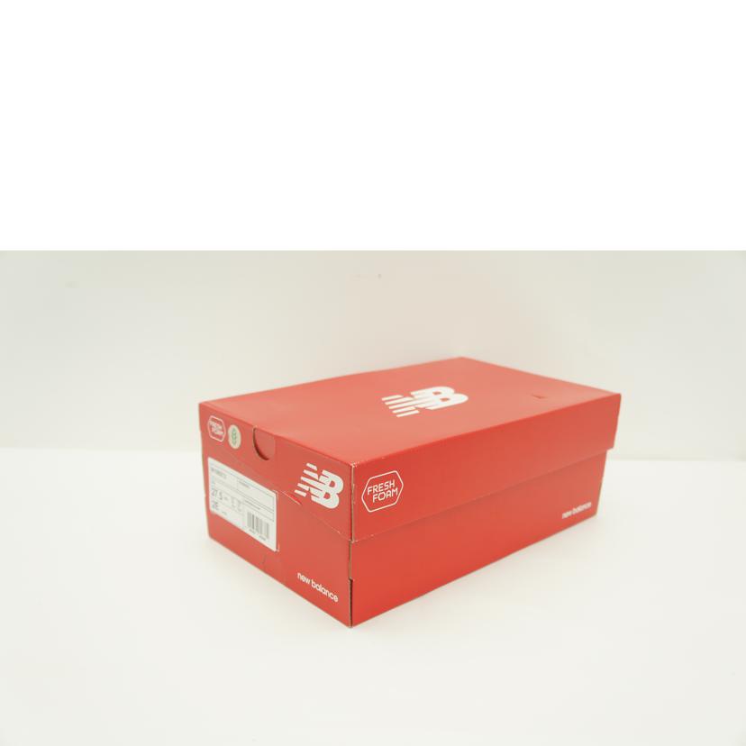 New　Balance ニューバランス/FRESH　FOAM／ランニングシューズ/M1080//Z12/ABランク/42