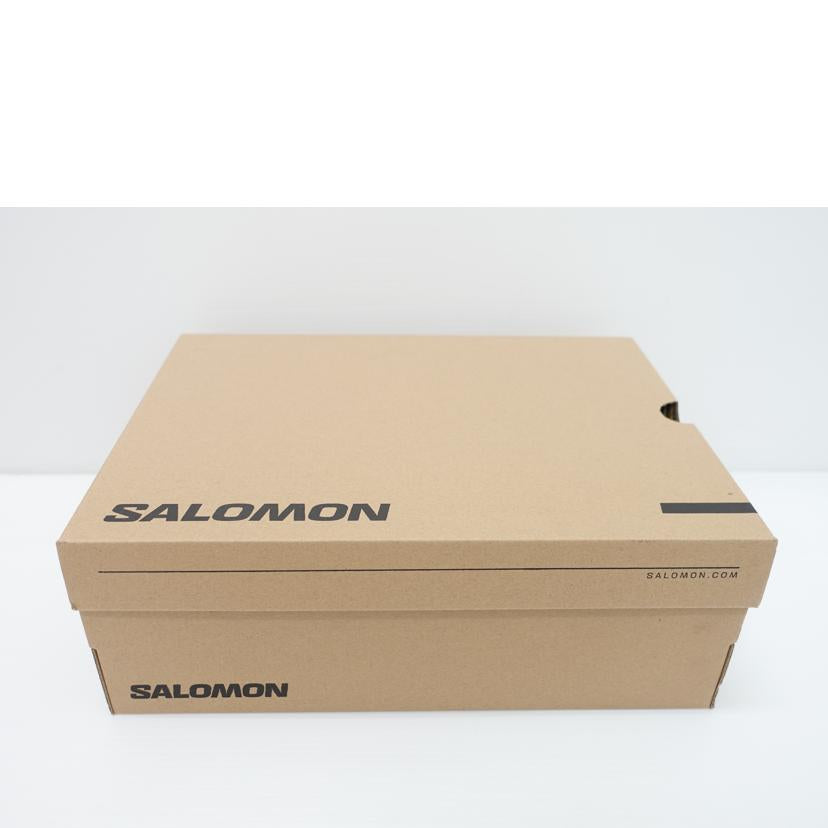 SALOMON サロモン/SA XトラッカーGTX /478226//Aランク/88