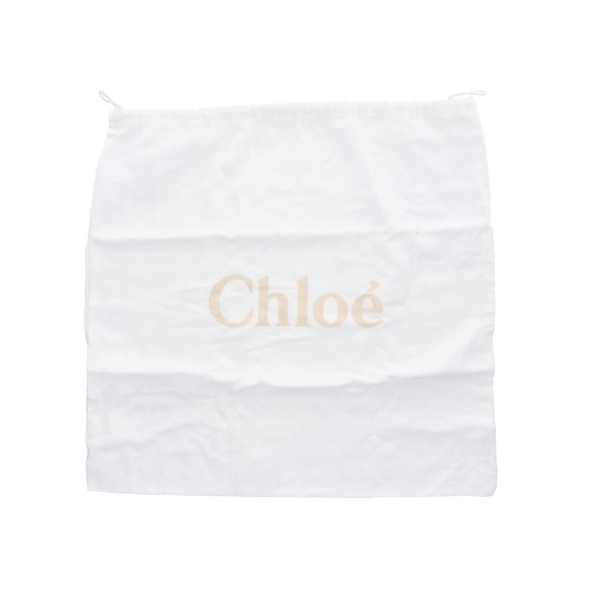 Chloe クロエ/ダリルクラッチバッグ//Aランク/75