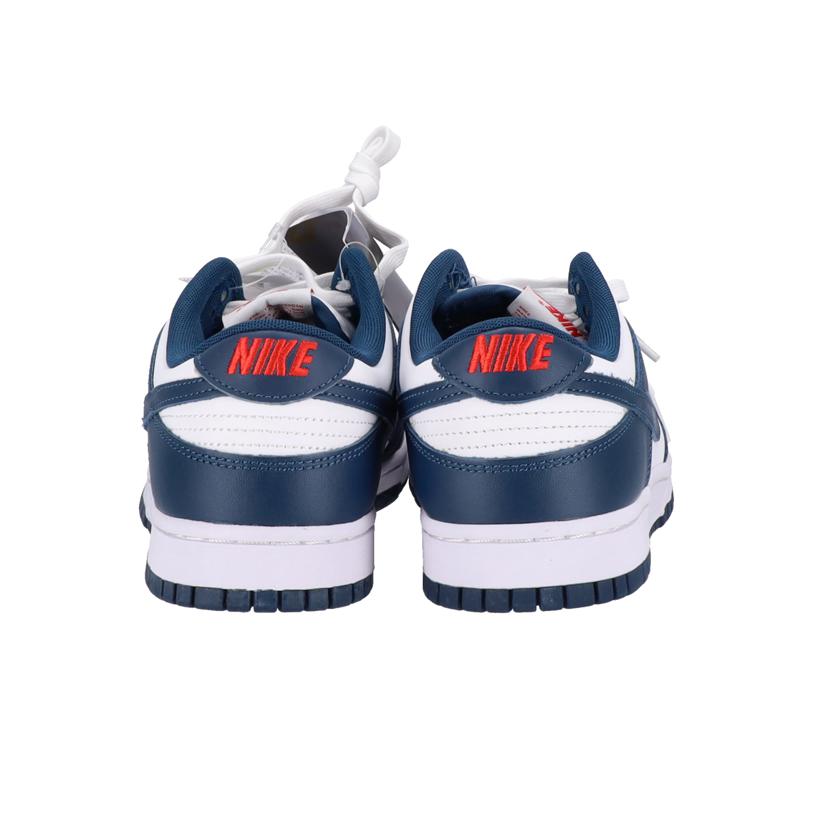 NIKE NIKE/ダンク　LOW　レトロ/DD1391-400//00195869949307/Aランク/85