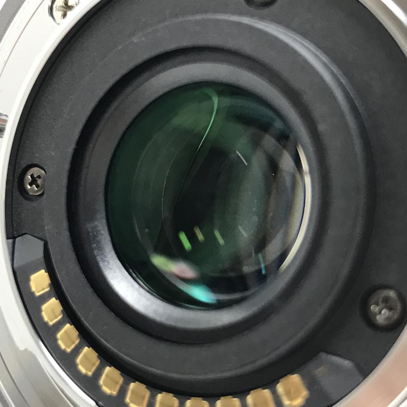 Panasonic パナソニック/Lumix レンズ/H-H020//BR9LB001542/ABランク/51